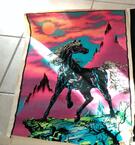 Poster velours