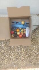 Billard de table pliable avec boules
