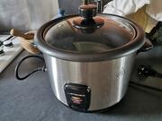 auto cuiseur de riz