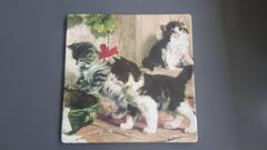 Dessous de plat motif chatons