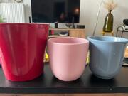 lot 3 pots de fleurs