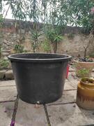 3 grands bacs pour jardin