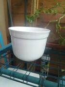 Cache pot