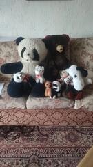 peluches - URGENT