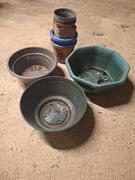 lots pots en plastique