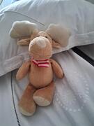 peluche renne