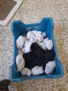 chaussettes