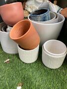 Pots de fleurs