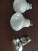 ampoules