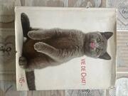 livre