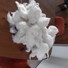 rembourrage coussin