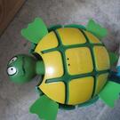 Super tortue incontournable