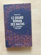 Livre le grand roman des maths