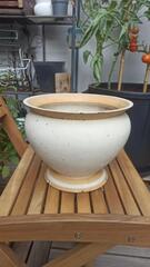 Pot /cache pot
