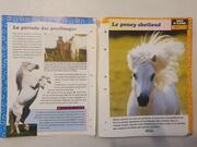 Fiches sur le cheval / équitation