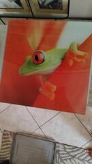 Cadre déco grenouille
