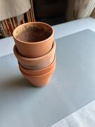 petits pots de jardinage