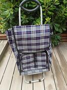 Caddie roulant pour le marché