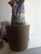 pot pour plante plus perles d'argile