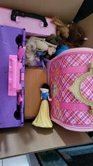 Lot de Poupées Barbie & Disney