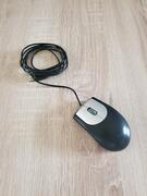 souris filaire