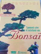 Guide pour créer et entretenir les bonsaï
