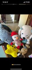 lot de peluches