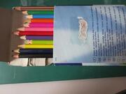 Scolaire : Crayons de couleur en bon état