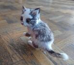 Bibelot Chat