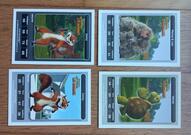 4 cartes Dreamworks/Carrefour ("Nos voisins les hommes")