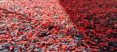 tapis poil long type Shaggy noir et rouge