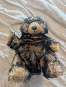 ours en peluche