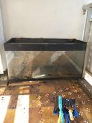 aquarium 100x41cm