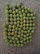 Balles de tennis usagées