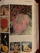 Encyclopédie de 1980 en 22 volumes