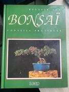 conseil pratique bonsaï
