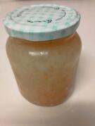 Grains de kéfir de fruits