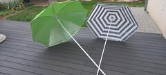 parasols et rabanes