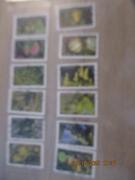 Série 12 timbres oblitérés de France "Fruits"