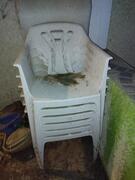 Fauteuils jardin