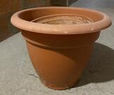pots pour plantes et substrat