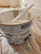 Peinture Luxens blanc super couvrante 10L