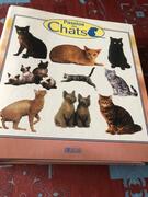 classeur fiches sur les chats