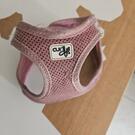 harnais petit chien