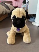 Peluche chien
