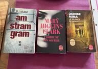 lot romans policiers