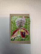 Timbre oblitéré orchidée