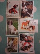 timbres thème CHIENS
