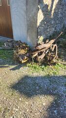 donne boisson suite elagage