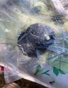 pour mettre sur serrure